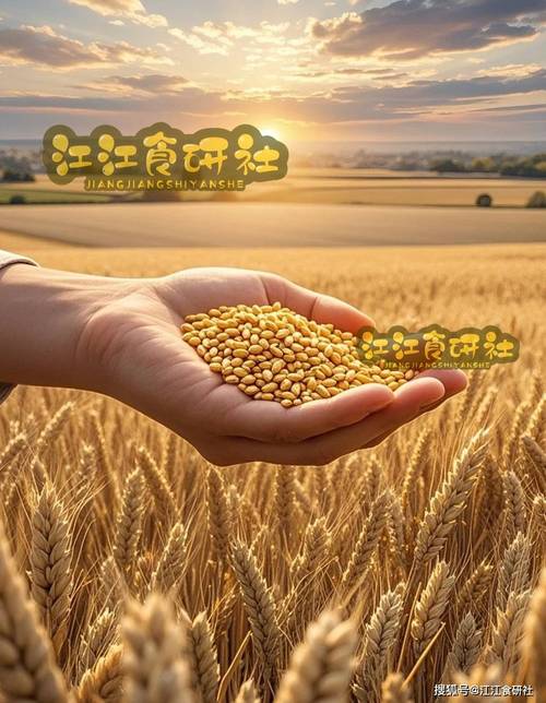 以为中东打仗只涨油价？大错特错！下一个可能飙升的就是粮食